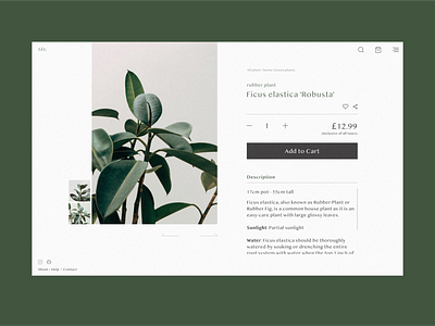 Add To Cart Web design creative dailyui design figma graphic design ui ui design uiux web design