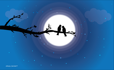 bird night