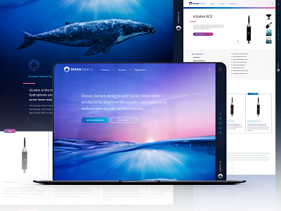 Ocean Sonics Website Design branding design madewithxd marine ocean sound technology ui ux web web design wordpress