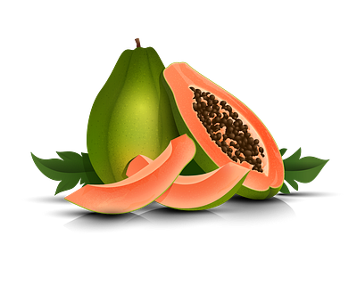 Jali Fruit Co. Papaya Illustration art design food fruit fruit illustration geometric gradient green icon illustration illustrator nature orange papaya seeds shadow snack texture treat vector