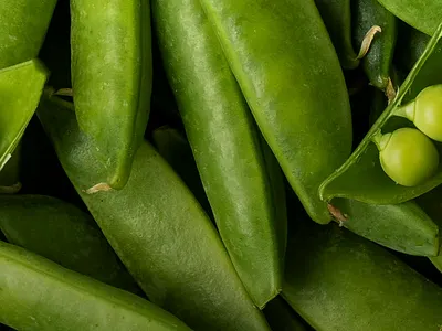 Capitol City Produce Fleet fleet fruit green macro macro photography produce truck graphics