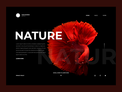 simplistic landingpage dark design home landing nature ui website