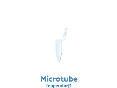 Week2 - A tube biology flat illustration illustration scicomm science vector