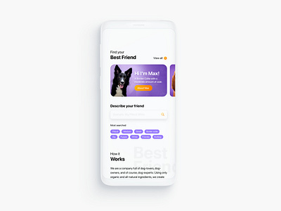 Pet services. Find your best friend app app design cards ui chips concept design dog light mode pet pet care search ui ui design ux design