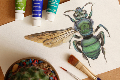 Bee illustration illustration paint science watercolor