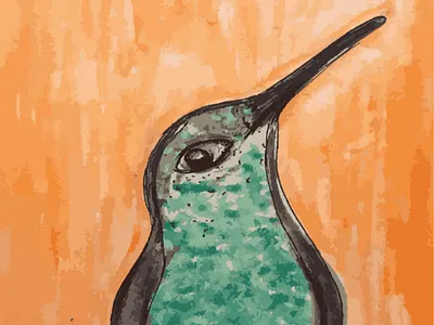 Hummingbird arts bird illustrator