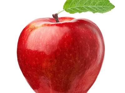 Apple PNG graphic design png smart design smart vector vector