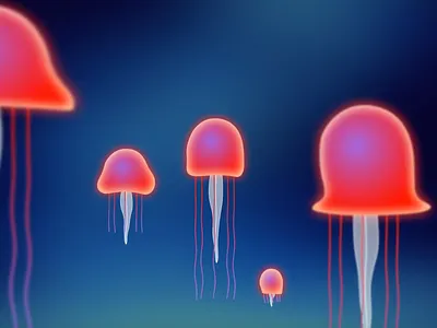 Jellyfish family animation 2d animation aftereffects animals animated animation animation after effects illustration jellyfish motion motion design motion graphics ocean sea underwater vector
