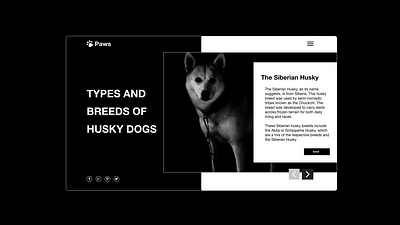 Husky dog blog color design ui web