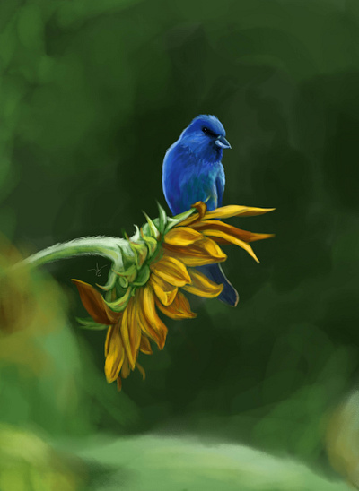 Blue bird and flower art bird digital digital art digital painting drawing nature