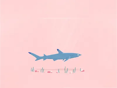 Shark dream conservation digital drawing digital illustration drawing illustration oceanconservation oceans pink planet earth procreate reefshark sea sealife shark water wildlife