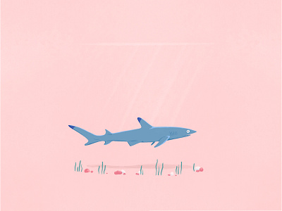 Shark dream conservation digital drawing digital illustration drawing illustration oceanconservation oceans pink planet earth procreate reefshark sea sealife shark water wildlife