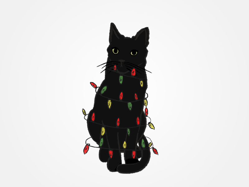 Frida Catlho after effects animation cat cats christmas fridakahlo gif holydays illustration illustrator loop motiongraphics