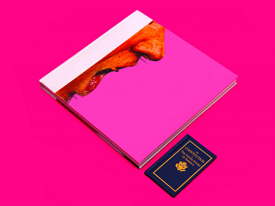 Cover book book cover book cover art book design cover design editorial typography