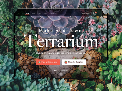 Terrarium Landing Page concept course design garden hobby landing page nature nature photography succulent terrarium typography ui ux website