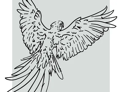 WIP - Parrot Ditching Quarantine bird flying illustration linework outline parrot vector wip