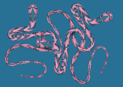 snakes illustration blue pink design illustration pattern snakes vector