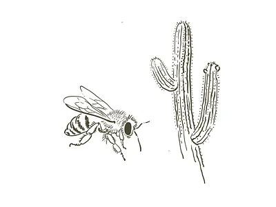 Likandes black and white illustration ink line line art nature pen tablet vector wacom tablet