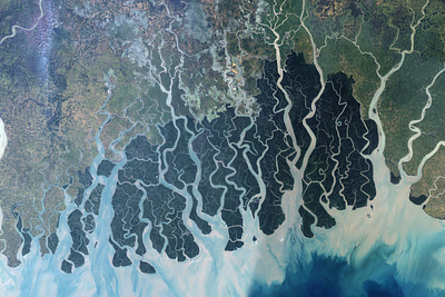 The Sundarbans bangladesh