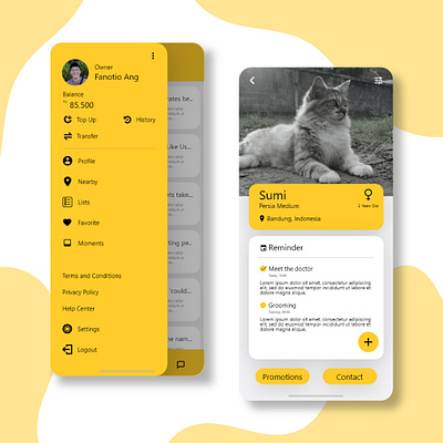 Pet Care App app art beginner branding design illustration ui uidesign ux uxdesign