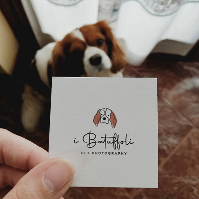 I Batuffoli pet photography logo design business card business card design businesscard dog logo illustration logo logo design logotype pet typo typography
