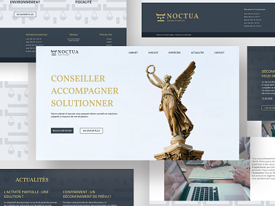 Noctua Website graphic graphicdesign law lawyer lawyers logo logo design owl web webdesign webdesigner website