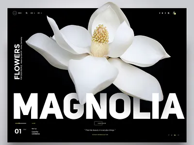magnolia webdesign darkmode headerdesign landing page landing page concept magnolia slideshow uiux webdesign