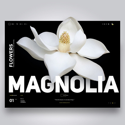 magnolia webdesign darkmode headerdesign landing page landing page concept magnolia slideshow uiux webdesign