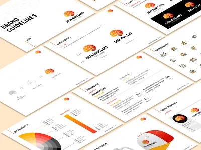 Data Mine Labs - Brand Identity brand book brand guide identity brand identity brand identity designer branding project color palette color shapes company style guide design styleguide digital brand book logo construction logo mark construction logo options logomark outline spacing style guide typeface