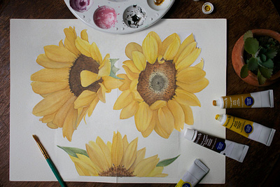 Sunflowers flowers illustration paint science sunflower sunflowers watercolor