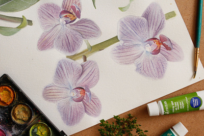 Violet orchids flowers illustration orchid orchids paint science violet watercolor