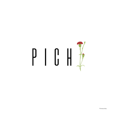 PICHI | San Isidro 20202 carnation design flower illustration illustrator minimal minimalist pichi san isidro