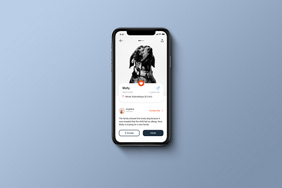 Mobile app for Malty dogs flat pets ui ux