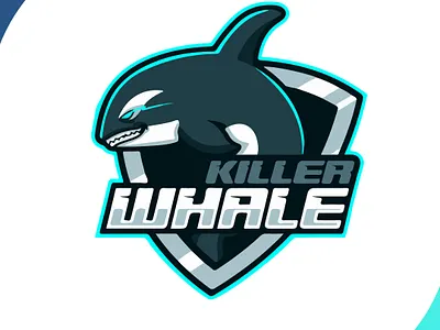 killerwhale art brand brand design brand identity branding branding design creative creative design creativity design design art flat icon illustration logo mascot design shark team logo vector whale