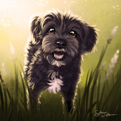 Yorkie poodle puppy animal art animal illustration animals children book illustration cute animal digital painting dog illustration drawing illustration pet portrait photoshop art poodle puppies puppy yorkie yorkipoo