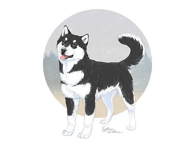 Snowy day alaskan malamute animal art childrens book illustration cute animal digital art digital painting dog illustration drawing husky pet portrait photoshop art puppy siberian husky sled dog snow winter