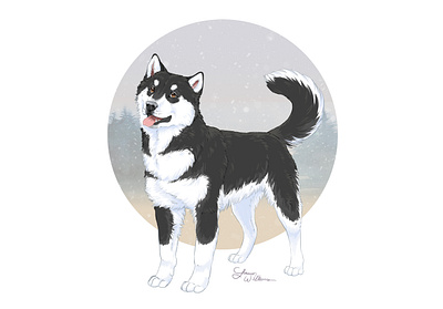 Snowy day alaskan malamute animal art childrens book illustration cute animal digital art digital painting dog illustration drawing husky pet portrait photoshop art puppy siberian husky sled dog snow winter