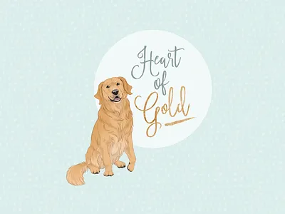 Heart of gold animal art animal illustration animals children book illustration cute animal digital art digital painting dog dog breeds golden retriever heart of gold pet loss pet memorial pet portrait photoshop art puppy