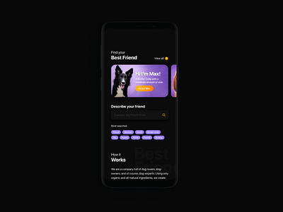 Pet services. Find your best friend. Dark mode app app design card cards concept dark app dark mode design pet care pets ui ui design ux design