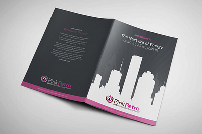 Pink Petro brand identity brochure design graphic design illustration poster report social media imagery