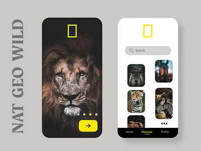 NAT GEO app branding dribbble logo ui ux uidesign ux