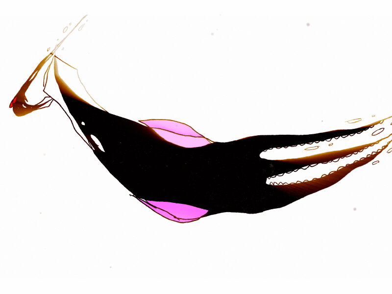 squid 2d animation bubbles framebyframe fx gif handdrawn lettering motion octopus shine squid squidward underwater