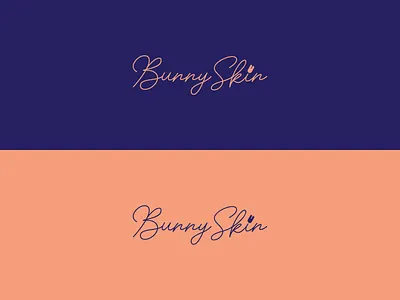 BS NP brand brand and identity branding design graphic identity identity branding illustration korea logo moon vector