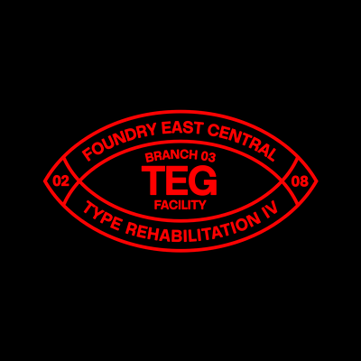 TEG Typeface font hdcfonts modern sans serif type typeface typography workhorse