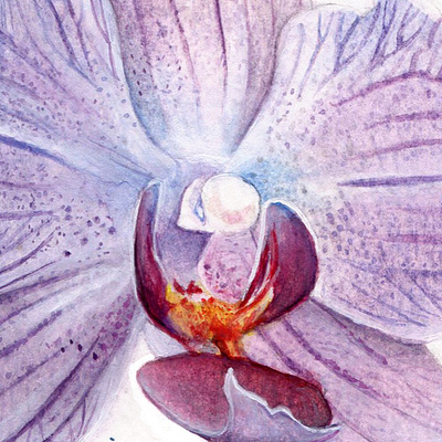 Watercolor Violet Orchid flower flowers illustration orchid orchids paint science violet watercolor