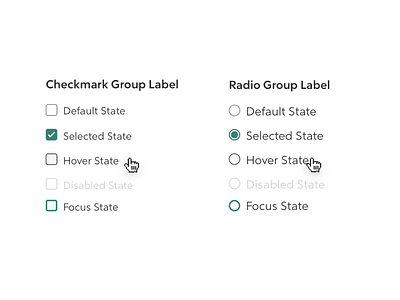 Custom Checkmark and Radio Group accessible checkmarks design system radios ui