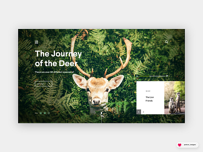 Animals Concept | Web Design animal behance color graphicdesign nature ui ux web webdesign website yellow yellowstone