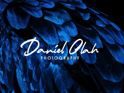 Signature Logo with Winifred & Bignode branding clean design display font editorial design font logo logotype minimalism photography photography branding photography logo typography