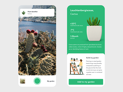 Plant Identifier adobe xd app app design beautiful cactus camera camera app clean design ecologic ecology garden green minimal nature plant plants prototype ui xd