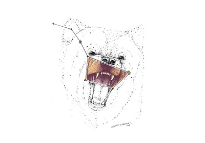 Ursa Major / The Big Dipper constellation animal art animal illustration bear bear drawing big dipper constellation digital art digital painting great bear growling pen drawing photoshop art stars teeth ursa major